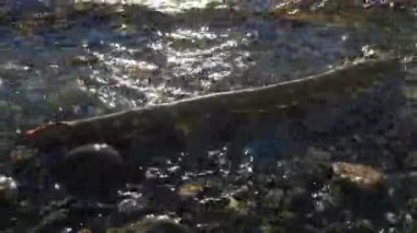 Dalgalar kıyıya çarpıyor