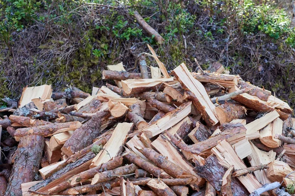 Hromadu čerstvě řezané dřevo — Stock fotografie