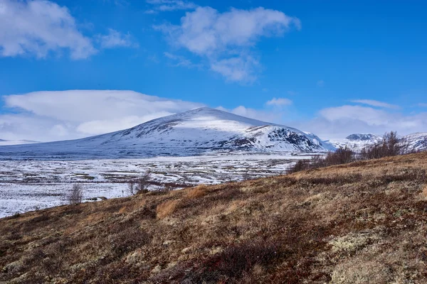 Dovre en Wintertime, Noruega — Foto de Stock