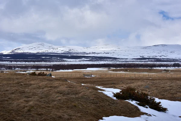 Dovre en Wintertime, Noruega — Foto de Stock