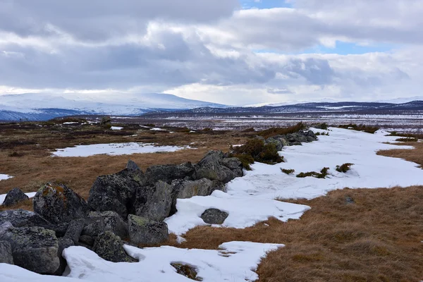Dovre a Inverno, Norvegia — Foto Stock