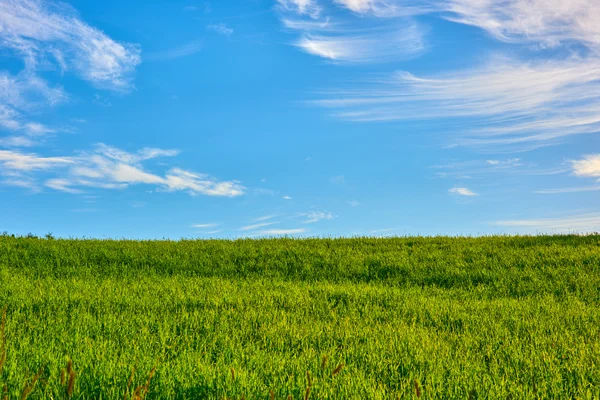 Green hill blue sky — Stock Photo, Image