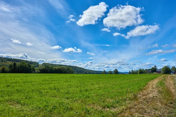 Grüne Wiese mit blauem Himmel, Schweden lizenzfreie Stockbilder