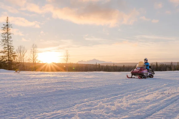 Mulher equitação snowmobile Fotografias De Stock Royalty-Free