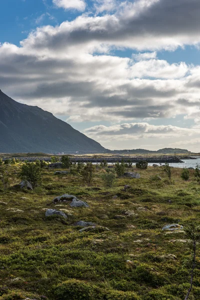 Paisagem de verão colorida com picos de montanha afiados na Noruega . — Fotografia de Stock