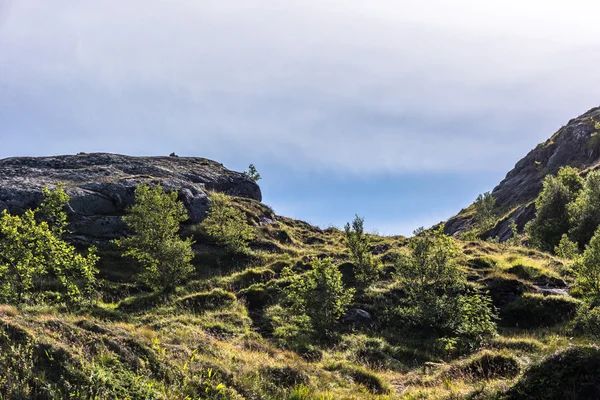 Farbenfrohe Sommerlandschaft mit scharfen Berggipfeln in Norwegen. — Stockfoto