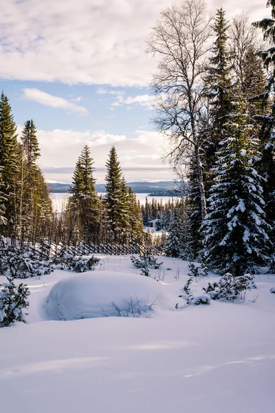 Vinter landskap med snötäckta träd och staket. Jul scen. Stockbild