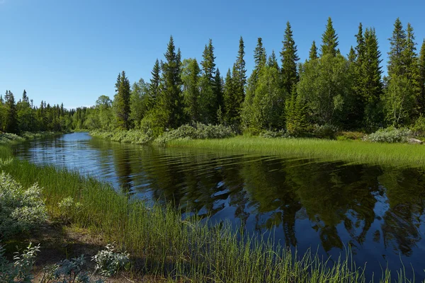 Liten böjd flod Stockbild