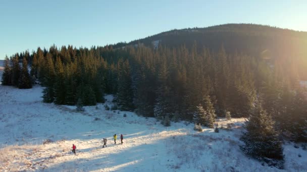 Quattro viaggiatori passano da una grande montagna. La gente conquista le cime innevate delle montagne invernali. Vista aerea. — Video Stock