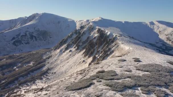 Vista aerea delle montagne invernali. Mount Ribs. Cime innevate dei Carpazi in una giornata di sole. — Video Stock
