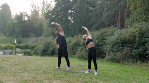 男女运动员在室外伸展身体 适合夫妻在晨间公园一起训练 两个跑步者做伸展运动 体育运动者的锻炼训练 — 图库视频影像