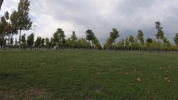 Панорама Леса Садовый Парк Лесной Пейзаж Летнее Травяное Поле Деревом — стоковое видео