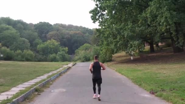 男の屋外バックビューを実行しています 夏の公園で男性ジョガーの空中ビューを実行します 都市公園でフィットネススポーツマンのトレーニングジョギングのバックビュー ランナーの男は練習を実行している 健康運動選手 — ストック動画