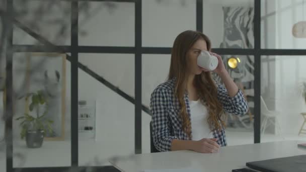 O femeie bea cafea la locul de muncă al laptopurilor. Freelancer bea ceai dimineața — Videoclip de stoc