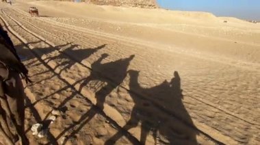 Giza Piramitleri 'nin yakınındaki deve kervanı gölgesi. Sahra gezisi deve gezisi