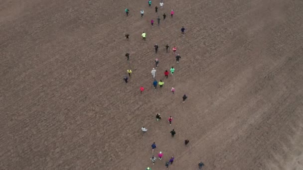 As pessoas correm com a vista aérea da maratona. Desafio de treinamento de grupo atleta — Vídeo de Stock