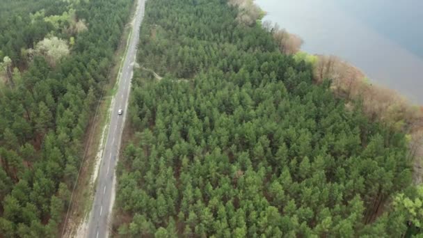 Aerial road forest landscape. Beauty forest road river. Car road near wood — Wideo stockowe
