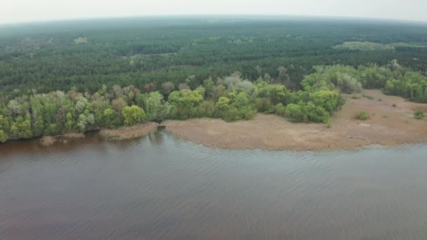 Letecký pohled na krásnou dřevěnou pláž. Pohled na zelený les poblíž břehu řeky — Stock video