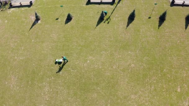 Vista aérea do movedor do gramado que trabalha na grama do jardim. Pessoa gramado de corte — Vídeo de Stock