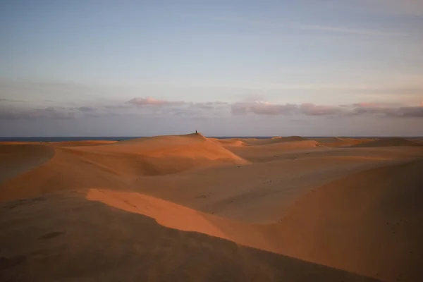 Sanddyner Fotograferade Vid Solnedgången Maspalomas Öken Gran Canaria — Stockfoto