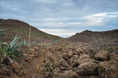 Volkanik taş ve kırmızı toprak yolu, Gran Canaria 'daki kaktüs ve aloe vera bitkileriyle çevrili..