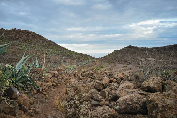 Weg Van Vulkanische Steen Rode Aarde Omgeven Door Cactus Aloë — Stockfoto