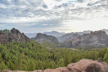İspanya, Gran Canaria 'daki vadi ve kayalık dağlar.
