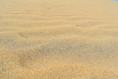 Dokulu turuncu çöl arka planı.