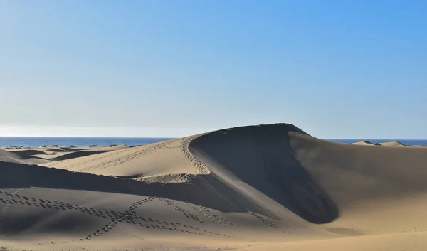 Large Sand Dunes Desert — Stock Photo, Image