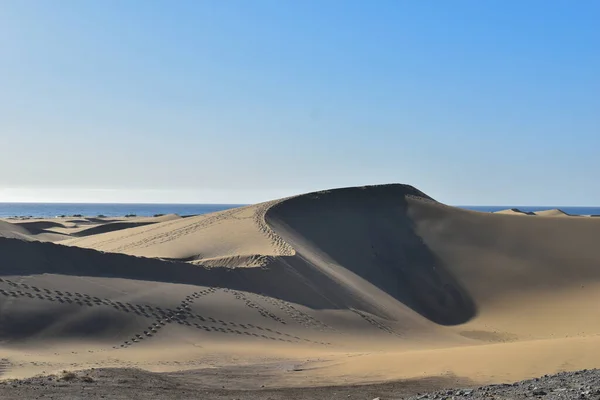 砂漠の大砂丘 — ストック写真