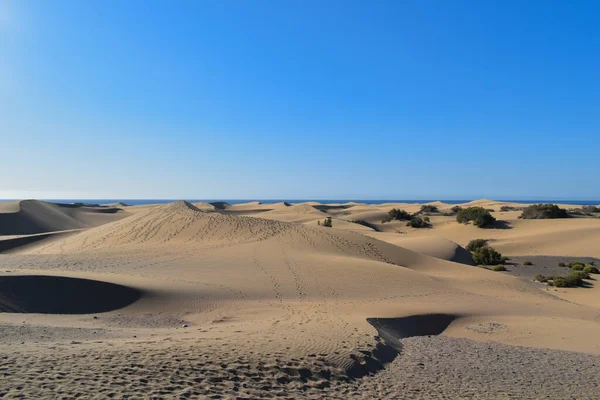 Песчаные Дюны Пустыне Маспаломас Гран Канария — стоковое фото