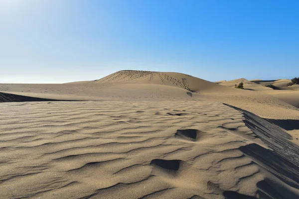 Large Sand Dunes Desert — Stock Photo, Image