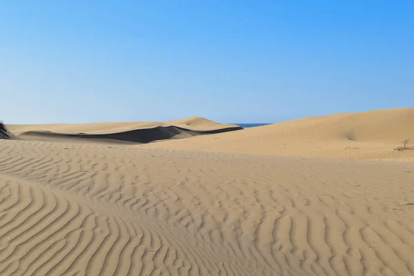 Stora Sanddyner Öknen — Stockfoto