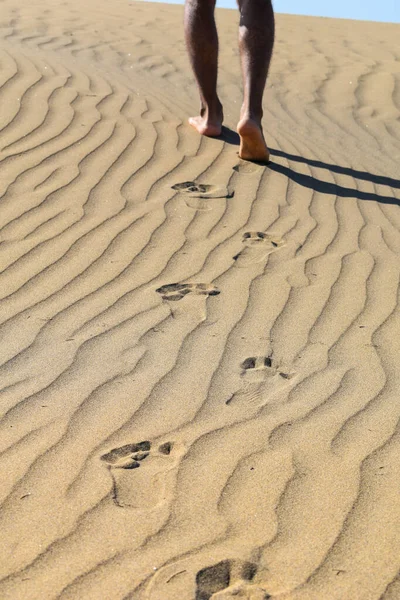 Huellas Las Dunas Del Desierto — Foto de Stock