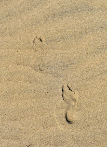 Footprints Arid Desert Sand — Stock Photo, Image