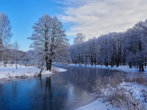 Winter landscape. Frosty light day in the forest on the river.