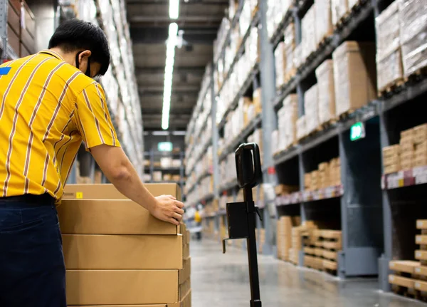 Çalışanlar depodaki palet kamyonlarına istiflenmiş kutuları kaldırıyorlar..