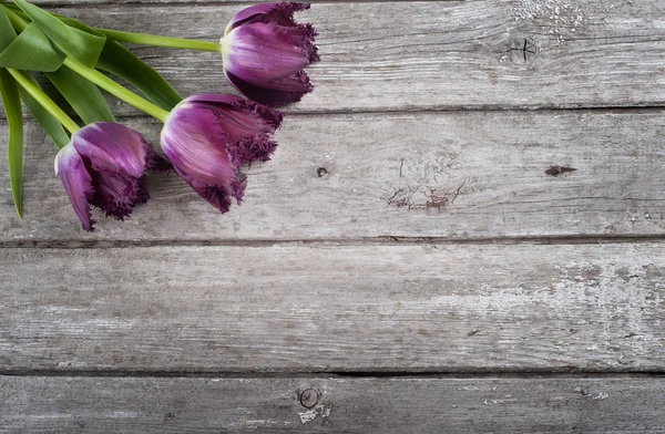 Tulipany na tle drewna stodoły — Zdjęcie stockowe