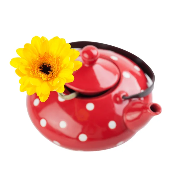 Yellow daisy flower in tea pot — Stock Photo, Image