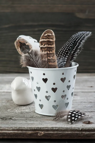 Fondo de madera envejecida con plumas —  Fotos de Stock