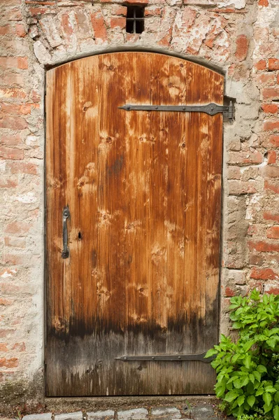 Pintu tua tunggal, pintu masuk — Stok Foto
