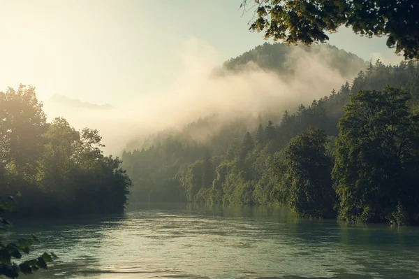 Alpes y niebla en el sol de la mañana —  Fotos de Stock