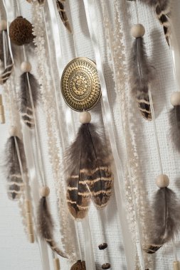 Kahverengi tüyleri ve dantel