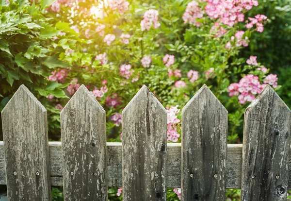 Стиль графства дерев'яний паркан — стокове фото