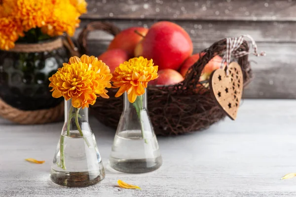 Pommes Rouges Mûres Chrysanthème Jaune Sur Table Rustique Décor Automnal — Photo