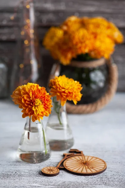 Orange chrysanthemum flowers and wooden bike on rustic background. Greeting card with copy space for your text