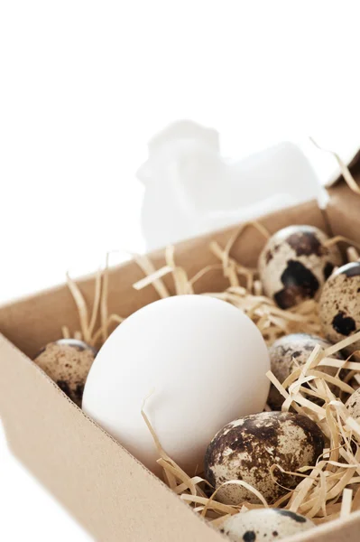 Chicken and quail eggs in box — Stock Photo, Image
