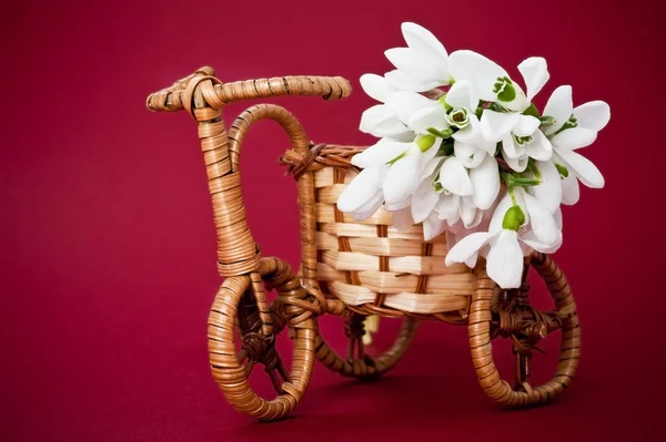 Велогоршок с весенними цветами — стоковое фото
