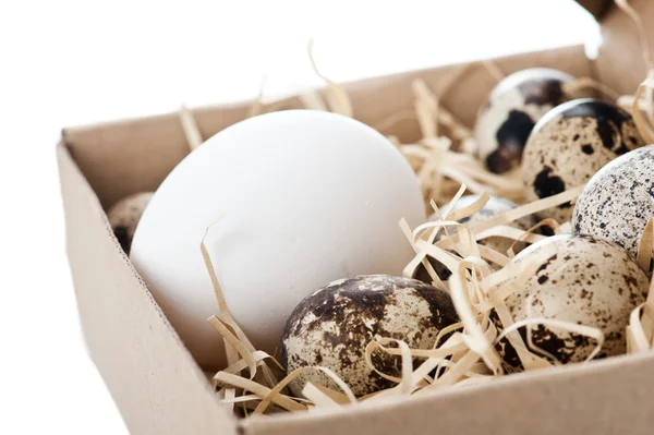 Chicken and quail eggs in box — Stock Photo, Image