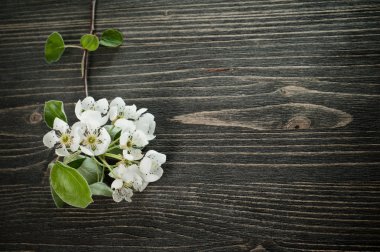 ahşap zemin çiçek 